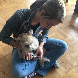 Image post by @yourfuzzy on Instagram