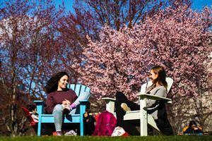 Image post by @northeastern on Instagram