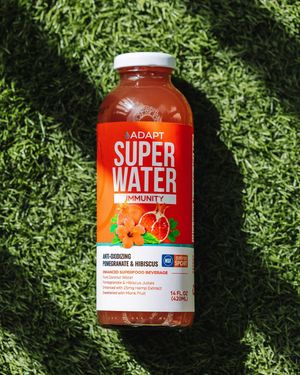 Image post by @adaptsuperwater on Instagram
