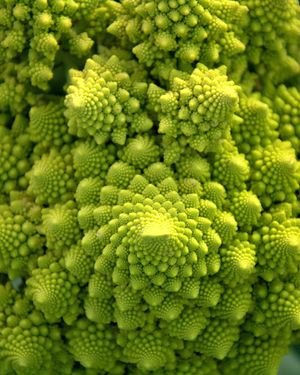 Image post by @discovery on Instagram