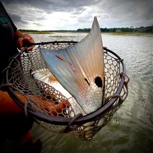 Image post by @toadfishoutfitters on Instagram