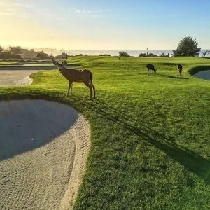 Image post by @pebblebeachresorts on Instagram