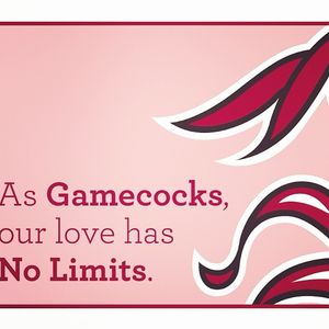 Image post by @uofscalumni on Instagram