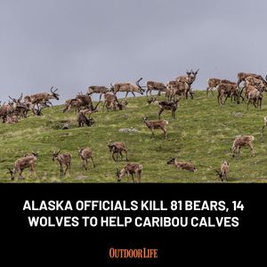 Image post by @outdoor_life on Instagram