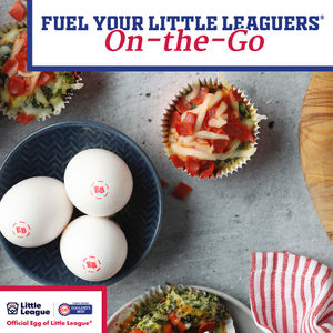 Image post by @littleleague on Instagram