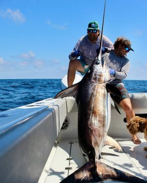 Image post by @freemanboatworks on Instagram