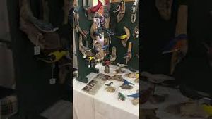 Video post by @WQLN PBS NPR on YouTube