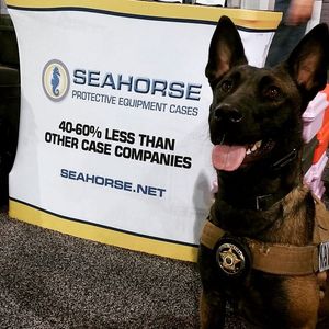 Image post by @seahorsecases on Instagram