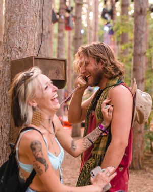 Image post by @electric_forest on Instagram
