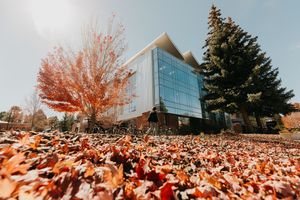 Image post by @nauflagstaff on Instagram