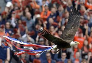 Image post by @auburnalumni on Instagram