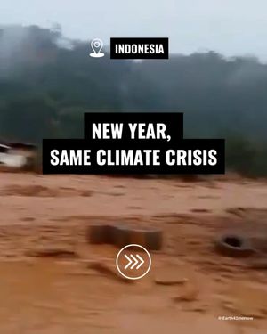Image post by @greenpeace on Instagram