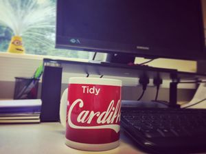 Image post by @walesnetball_ on Instagram