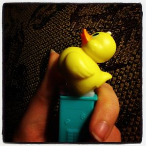Image post by @lydiashirley on Instagram