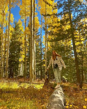 Image post by @nauflagstaff on Instagram