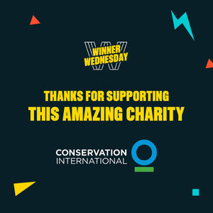 Image post by @omaze on Instagram