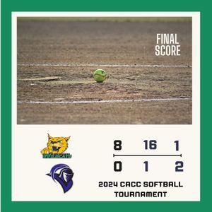 Image post by @delawaresportsblitz on Instagram