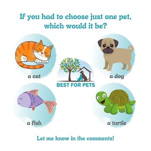 Image post by @bestforpetsmelb on Instagram
