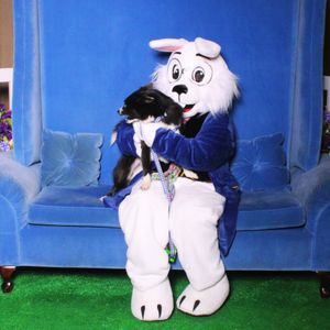 Image post by @tux_the_blue_pomsky on Instagram