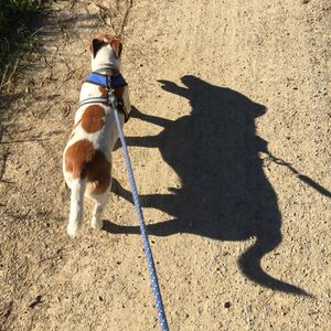 Image post by @snaffle_it on Instagram