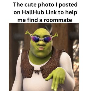 Image post by @hallhublink on Instagram