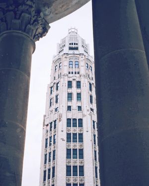 Image post by @willtrogdon on Instagram
