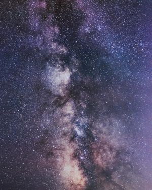 Image post by @mayasinghphotos on Instagram