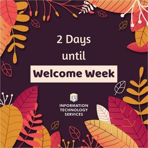 Image post by @mycalstatela on Instagram