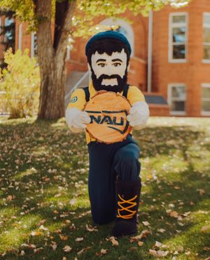 Image post by @nauflagstaff on Instagram