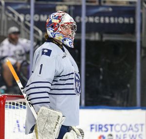 Image post by @swamprabbits on Instagram