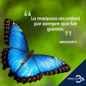 Image post by @calafoundation on Instagram