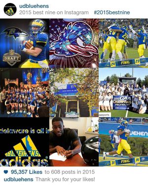 Image post by @udbluehens on Instagram