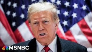 Video post by @msnbc on YouTube
