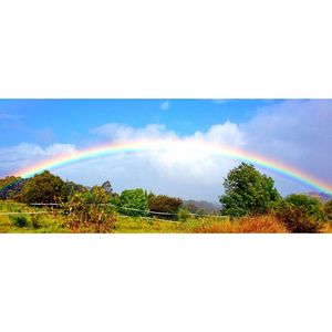 Image post by @olukai on Instagram