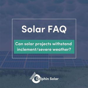 Image post by @DolphinSolarProject on Facebook
