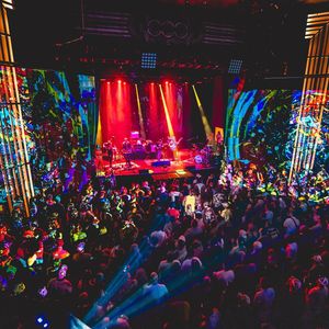 Image post by @lettucefunk on Instagram