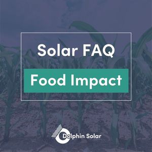Image post by @DolphinSolarProject on Facebook