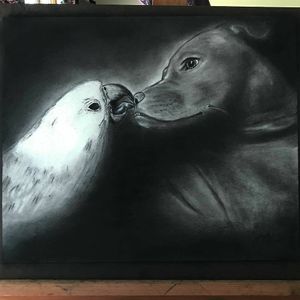 Image post by @westernavearts on Instagram