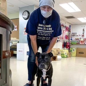 Image post by @spokhumanesoc on Instagram