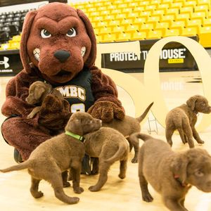 Image post by @umbclife on Instagram