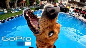 Video post by @gopro on YouTube