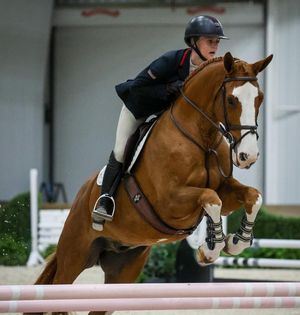 Image post by @usequestrian on Instagram