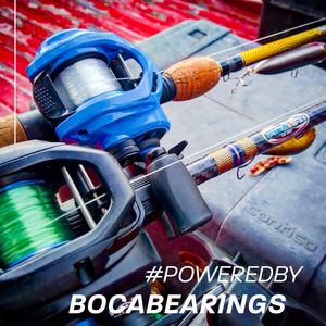 Image post by @bocabearings on Instagram
