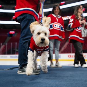 Image post by @centrebell on Instagram