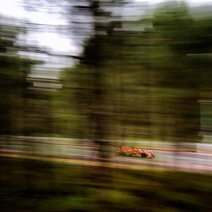 Image post by @pipoderani on Instagram