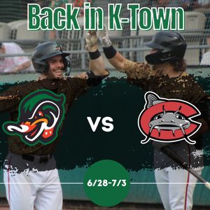 Image post by @gowoodducks on Instagram