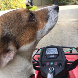Image post by @snaffle_it on Instagram
