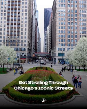 Image post by @chicago.explore on Instagram