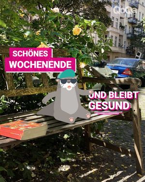 Image post by @qoqa_schweiz on Instagram