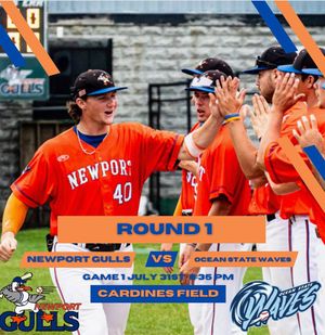 Image post by @newportgulls on Instagram